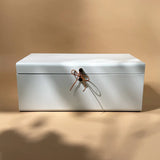 Galvanised Steel Trunk White color
