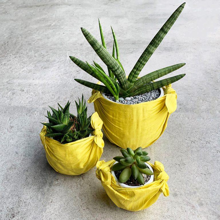 DISCOVER THE MANY WAYS TO REUSE YOUR MASKA WRAPS – HOME EDITION - Maska / Gifting Redefined