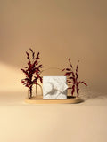 Iwan Gift Stand – Small (Small Wrap) – Nude